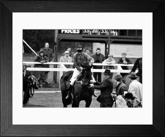 Framed Print : Princess Anne races at Newbury Racecourse, Berkshire. She is pictured alongside her Framed Print : Princess Anne races at Newbury Racecourse, Berkshire. She is pictured alongside her
