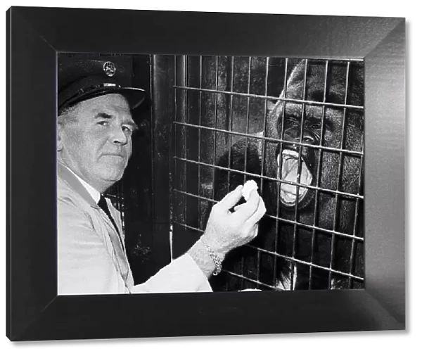 George Callard Headkeeper Of The Sobell Pavillion For Apes Dbase