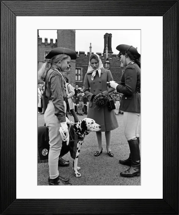Framed Print : Princess Anne visits the Horse Rangers of the Commonwealth at Hampton Court Palace Framed Print : Princess Anne visits the Horse Rangers of the Commonwealth at Hampton Court Palace