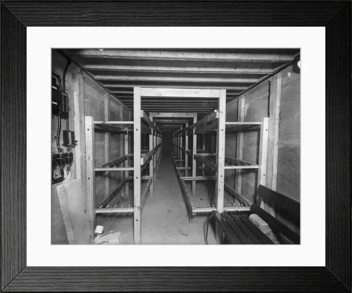 Framed Print : New bunks fitted in a public air raid shelter to make sheltering from enemy air raids Framed Print : New bunks fitted in a public air raid shelter to make sheltering from enemy air raids