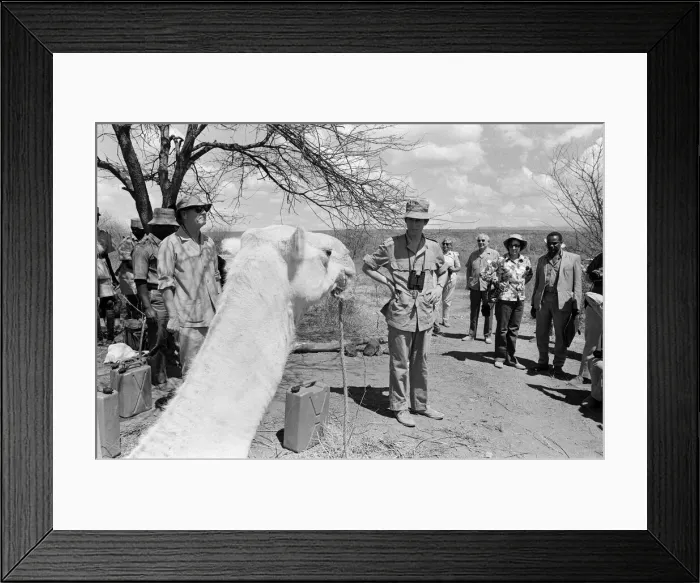 Framed Print : Prince Charles, Prince of Wales visits Kenya. February 1971 Framed Print : Prince Charles, Prince of Wales visits Kenya. February 1971