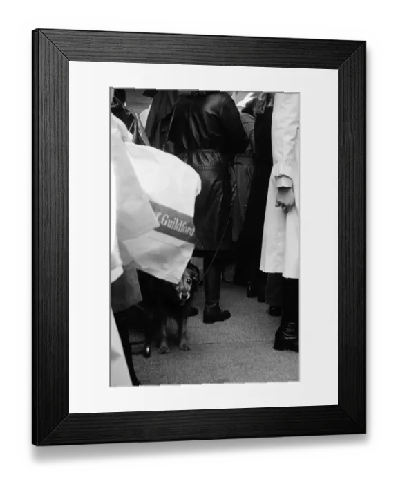 Framed Print : Harveys Sale, Guildford, Surrey, Tuesday 5th January 1971