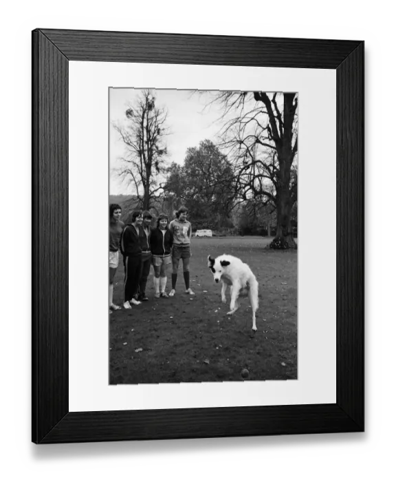 Framed Print : The England womens football team who are to play Holland training at Bisham Abbey Framed Print : The England womens football team who are to play Holland training at Bisham Abbey