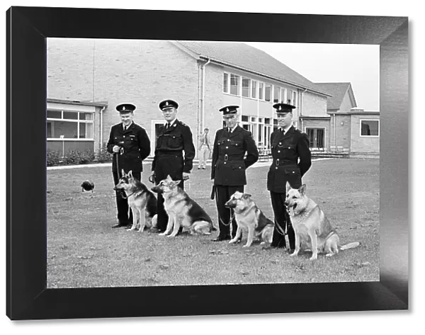 Police dogs training at Chatteris in Cambridgeshire, 26th May 1965