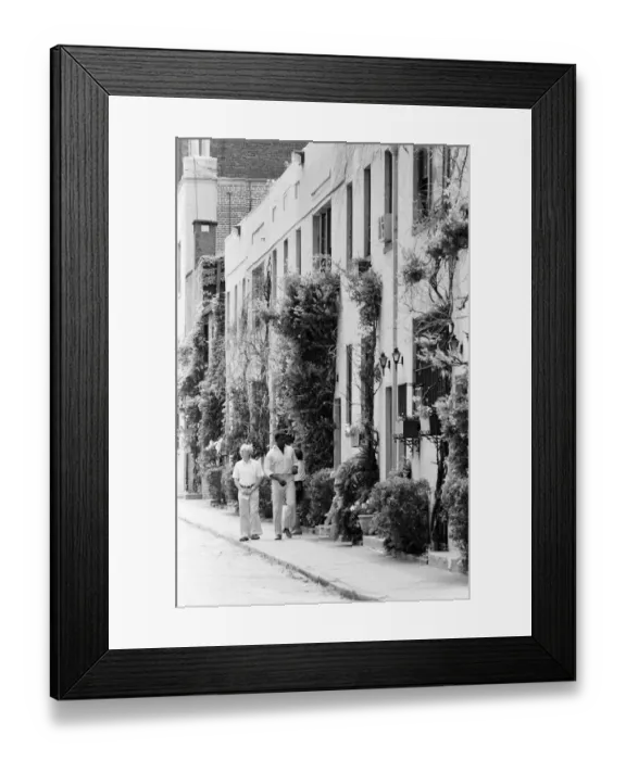Framed Print : Greenery in New York, USA, June 1984 Framed Print : Greenery in New York, USA, June 1984