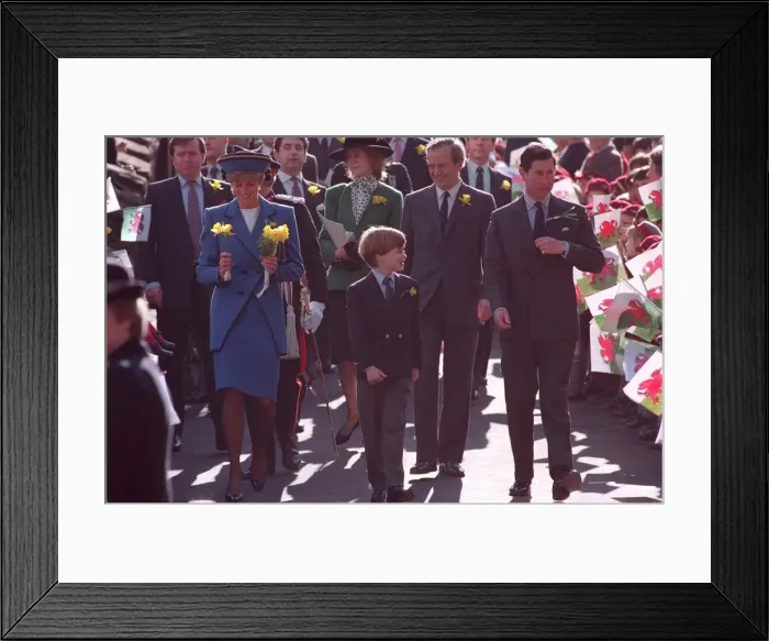 Framed Print : PRINCESS DIANA, PRINCE WILLIAM AND PRINCE CHARLES WALKING PAST FANS AS THEY ATTEND A