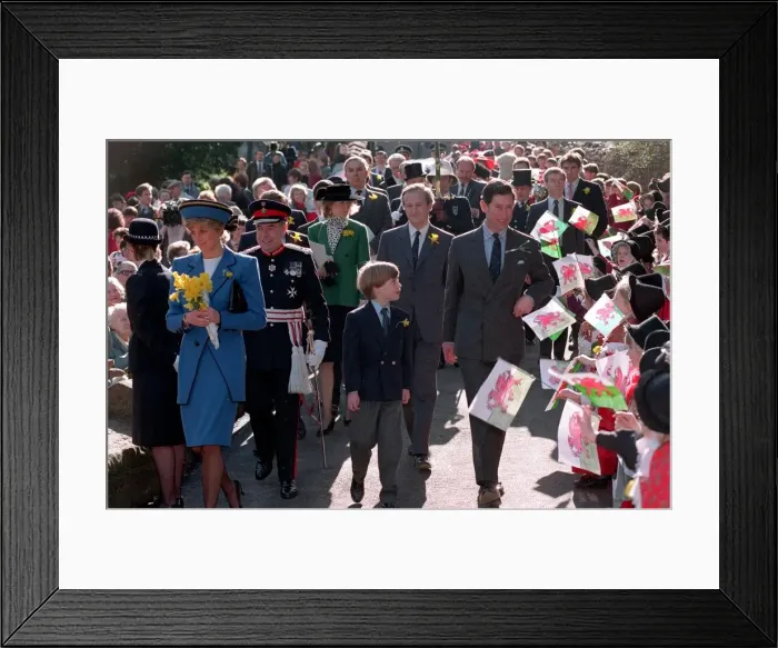 Framed Print : PRINCESS DIANA, PRINCE WILLIAM AND PRINCE CHARLES WALKING THROUGH CROWDS OF FANS AS THEY Framed Print : PRINCESS DIANA, PRINCE WILLIAM AND PRINCE CHARLES WALKING THROUGH CROWDS OF FANS AS THEY