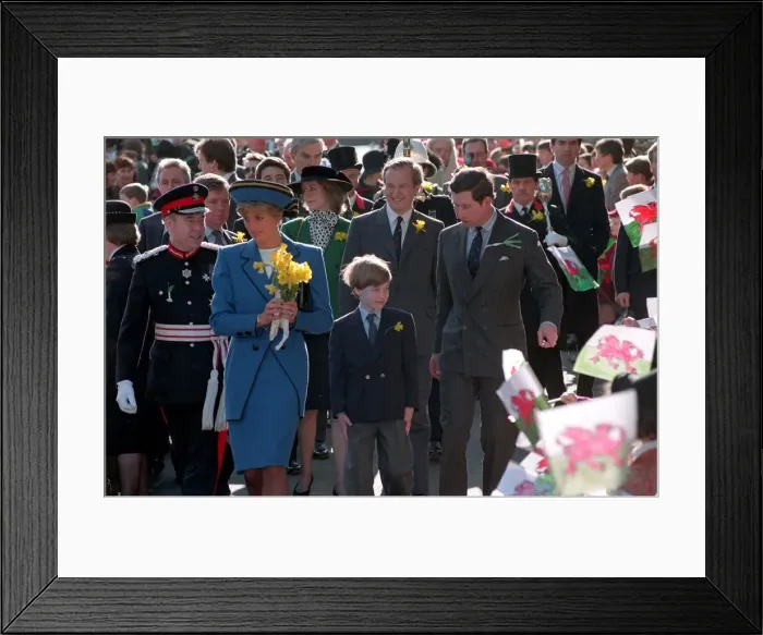 Framed Print : PRINCESS DIANA, PRINCE WILLIAM AND PRINCE CHARLES WALKING THROUGH CROWDS OF FANS AS THEY Framed Print : PRINCESS DIANA, PRINCE WILLIAM AND PRINCE CHARLES WALKING THROUGH CROWDS OF FANS AS THEY