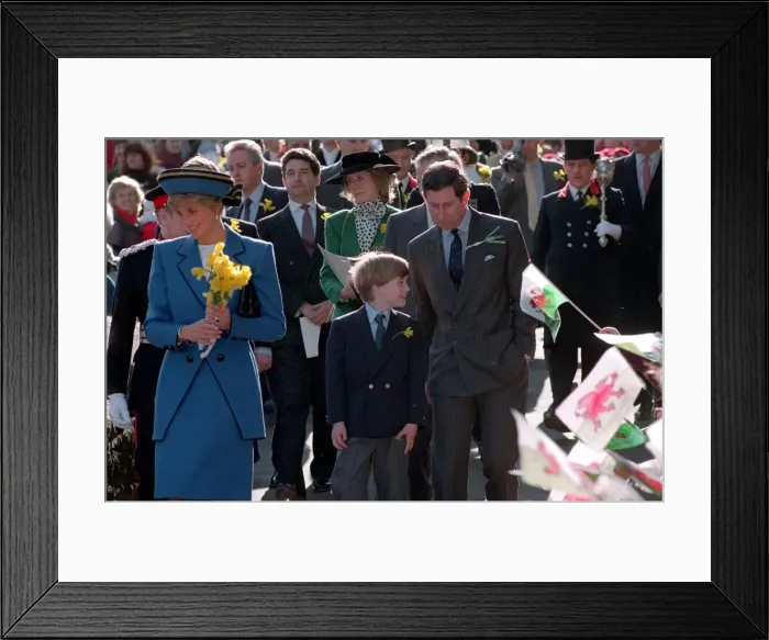 Framed Print : PRINCESS DIANA, PRINCE WILLIAM AND PRINCE CHARLES WALKING THROUGH CROWDS OF FANS AS THEY Framed Print : PRINCESS DIANA, PRINCE WILLIAM AND PRINCE CHARLES WALKING THROUGH CROWDS OF FANS AS THEY