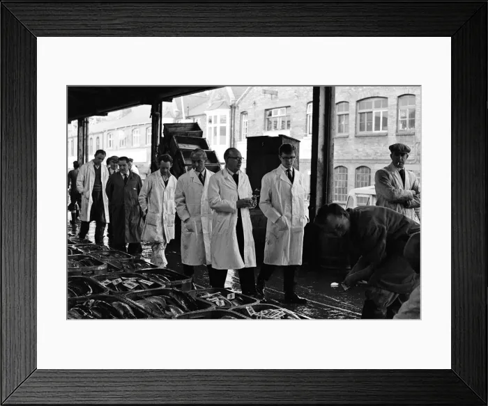 Framed Print : Grimsby fish market, Lincolnshire. 26th September 1963 Framed Print : Grimsby fish market, Lincolnshire. 26th September 1963