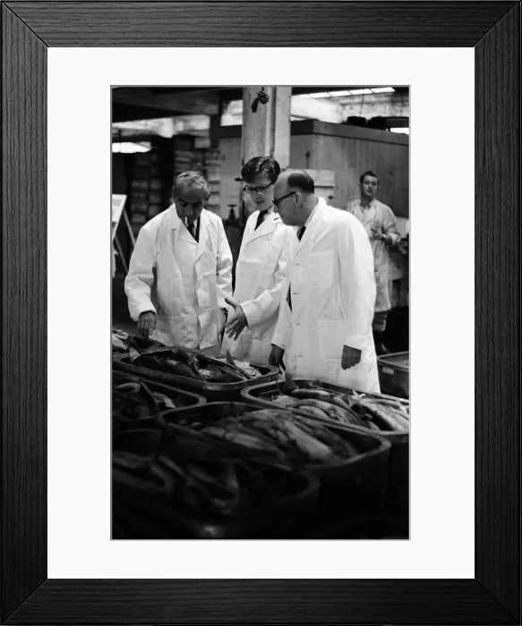 Framed Print : Grimsby fish market, Lincolnshire. 26th September 1963 Framed Print : Grimsby fish market, Lincolnshire. 26th September 1963