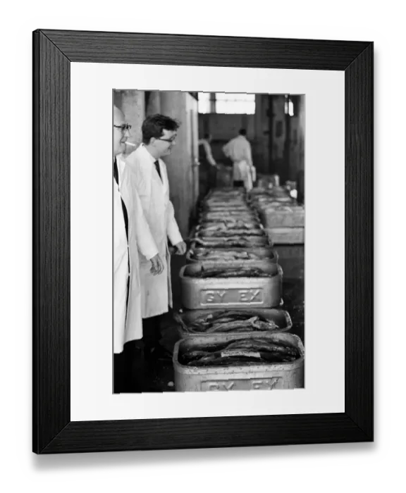 Framed Print : Grimsby fish market, Lincolnshire. 26th September 1963