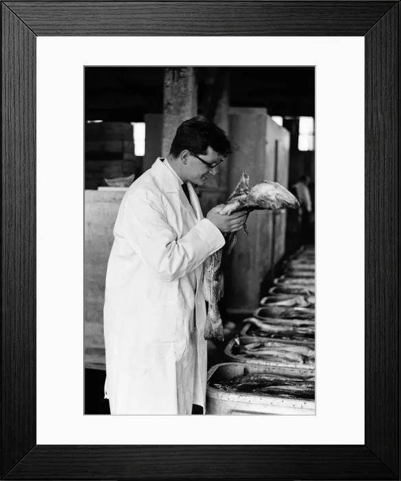 Framed Print : Grimsby fish market, Lincolnshire. 26th September 1963 Framed Print : Grimsby fish market, Lincolnshire. 26th September 1963