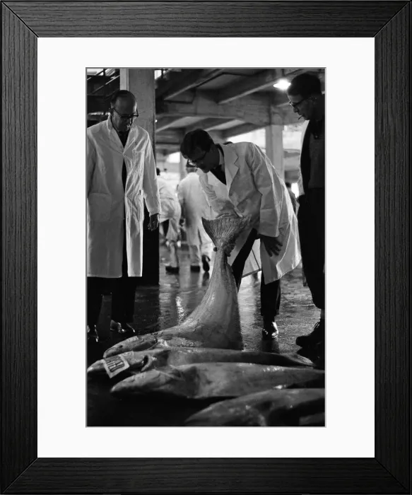 Framed Print : Grimsby fish market, Lincolnshire. 26th September 1963 Framed Print : Grimsby fish market, Lincolnshire. 26th September 1963