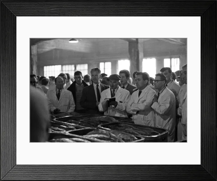 Framed Print : Grimsby fish market, Lincolnshire. 26th September 1963 Framed Print : Grimsby fish market, Lincolnshire. 26th September 1963