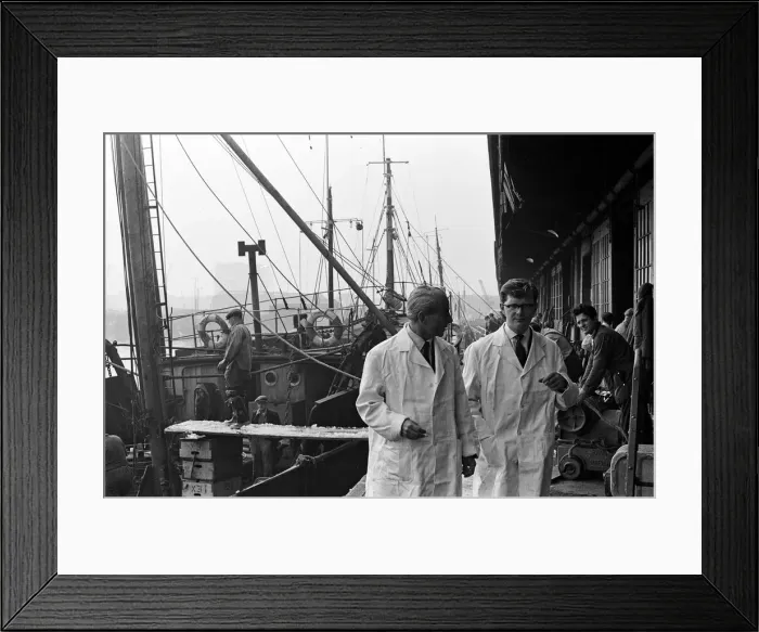 Framed Print : Grimsby fish market, Lincolnshire. 26th September 1963 Framed Print : Grimsby fish market, Lincolnshire. 26th September 1963