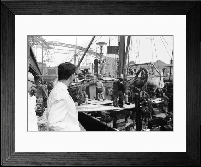Framed Print : Grimsby fish market, Lincolnshire. 26th September 1963 Framed Print : Grimsby fish market, Lincolnshire. 26th September 1963