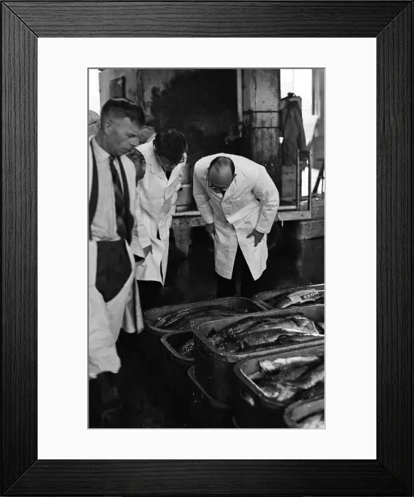 Framed Print : Grimsby fish market, Lincolnshire. 26th September 1963 Framed Print : Grimsby fish market, Lincolnshire. 26th September 1963