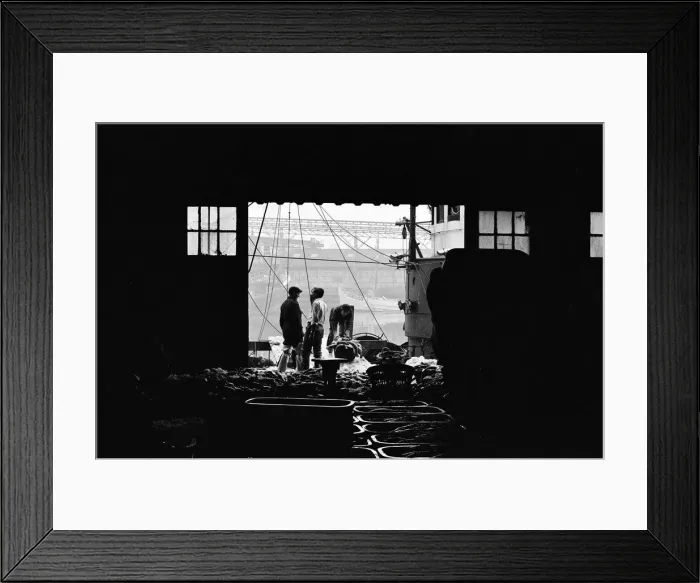 Framed Print : Grimsby fish market, Lincolnshire. 26th September 1963 Framed Print : Grimsby fish market, Lincolnshire. 26th September 1963