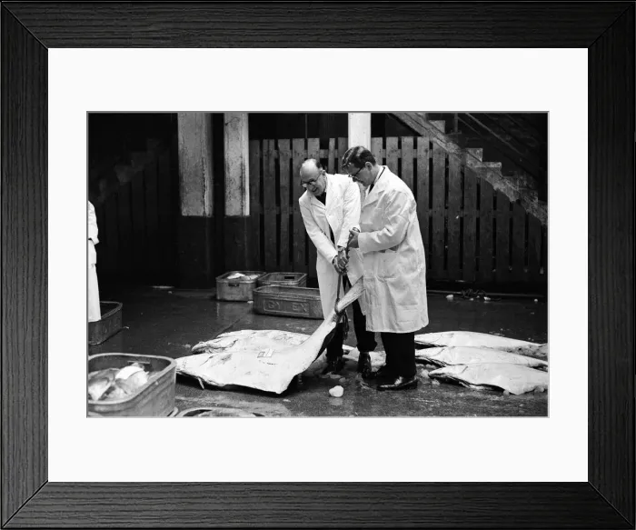 Framed Print : Grimsby fish market, Lincolnshire. 26th September 1963 Framed Print : Grimsby fish market, Lincolnshire. 26th September 1963