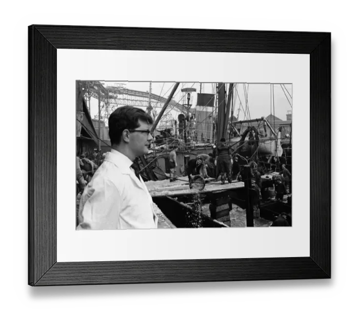 Framed Print : Grimsby fish market, Lincolnshire. 26th September 1963 Framed Print : Grimsby fish market, Lincolnshire. 26th September 1963