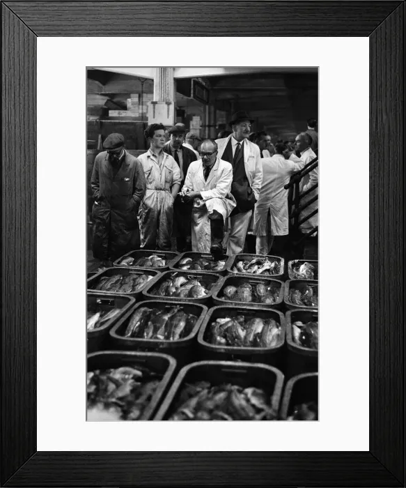 Framed Print : Grimsby fish market, Lincolnshire. 26th September 1963 Framed Print : Grimsby fish market, Lincolnshire. 26th September 1963