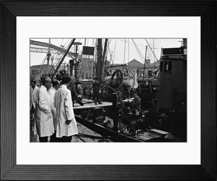 Framed Print : Grimsby fish market, Lincolnshire. 26th September 1963 Framed Print : Grimsby fish market, Lincolnshire. 26th September 1963