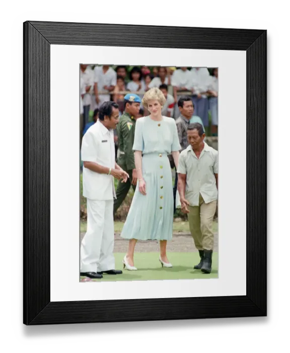 Framed Print : Diana, Princess of Wales visit to Indonesia 1989. The Princess plays a game of boules Framed Print : Diana, Princess of Wales visit to Indonesia 1989. The Princess plays a game of boules