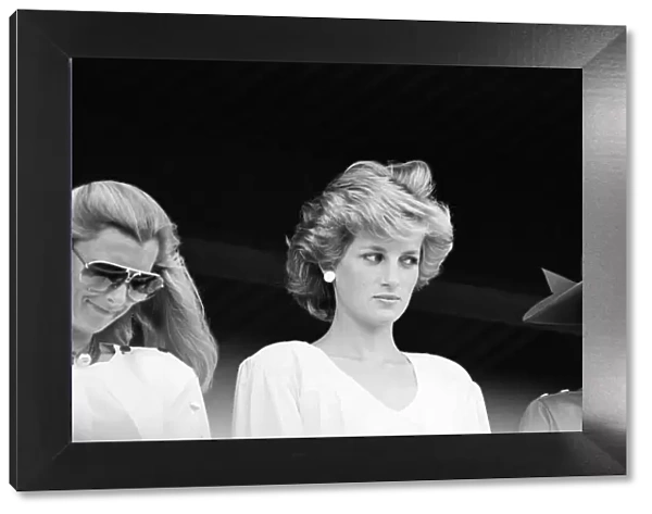 Diana, Princess of Wales watches her husband playing in a polo match at Palm Beach