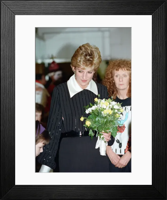 Framed Print : The Princess of Wales, Princess Diana, in her capacity as Patron