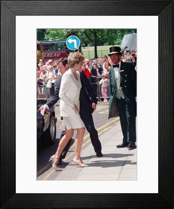 Framed Print : The Princess of Wales, Princess Diana, in her capacity as Patron of Framed Print : The Princess of Wales, Princess Diana, in her capacity as Patron of