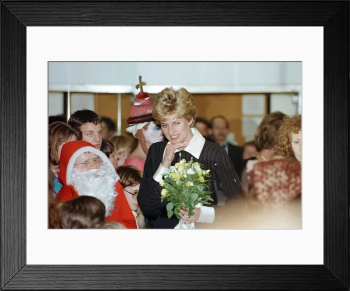 Framed Print : The Princess of Wales, Princess Diana, in her capacity as Patron