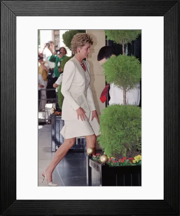 Framed Print : The Princess of Wales, Princess Diana, in her capacity as Patron of