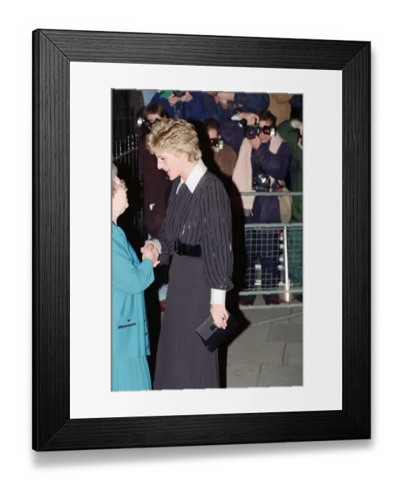Framed Print : The Princess of Wales, Princess Diana, in her capacity as Patron Framed Print : The Princess of Wales, Princess Diana, in her capacity as Patron