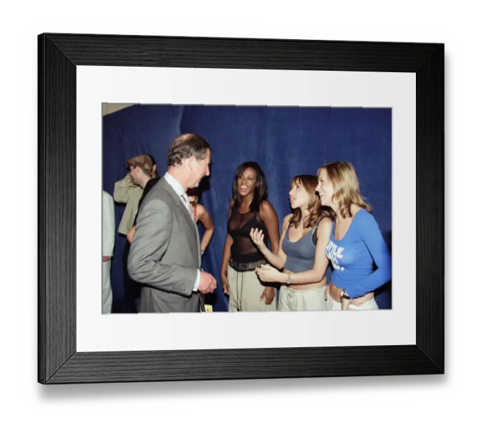 Framed Print : Party in the Park Concert in aid of the Princes Trust held at Hyde Park, London Framed Print : Party in the Park Concert in aid of the Princes Trust held at Hyde Park, London