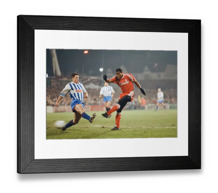 Framed Print : FA Cup 4th round replay at the Goldstone Ground, Hove. Brighton