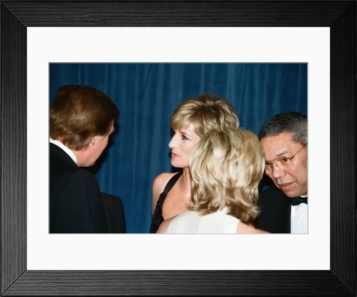 Framed Print : Diana, Princess of Wales attends the United Cerebral Palsy Framed Print : Diana, Princess of Wales attends the United Cerebral Palsy