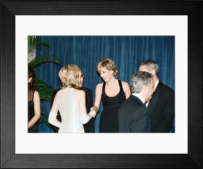Framed Print : Diana, Princess of Wales attends the United Cerebral Palsy
