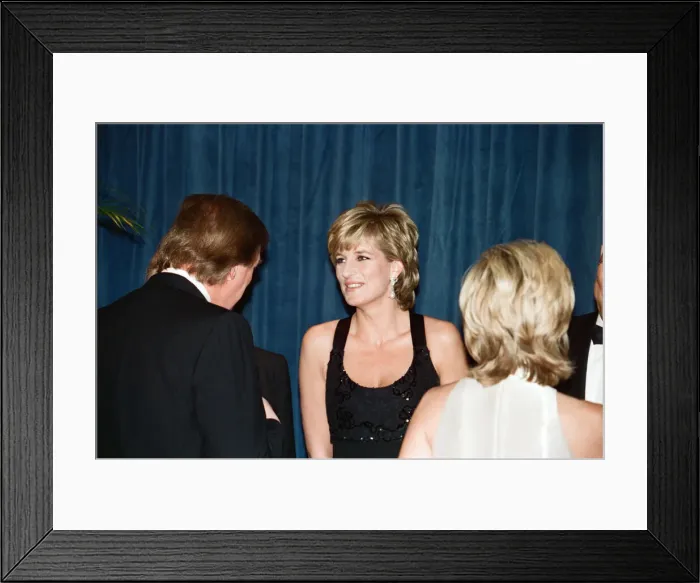 Framed Print : Diana, Princess of Wales attends the United Cerebral Palsy