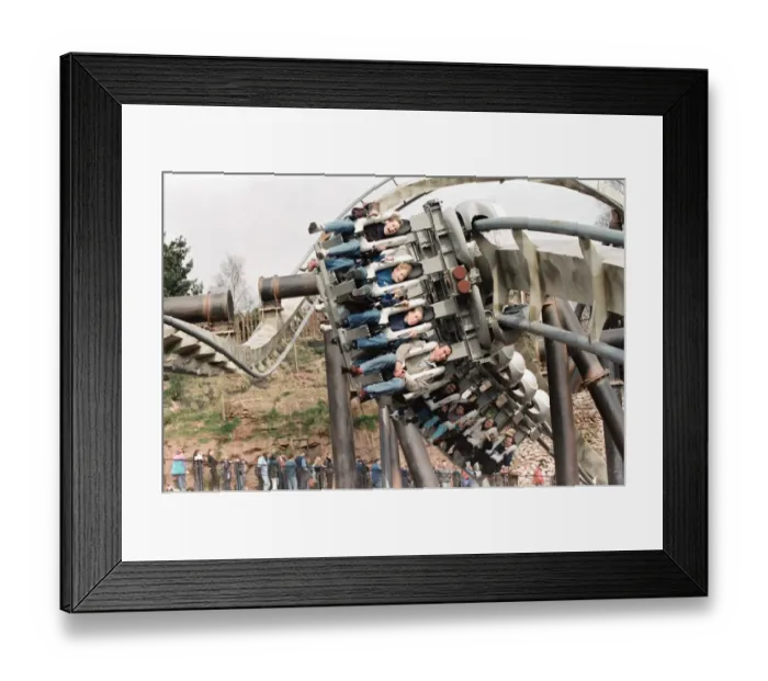 Framed Print : Princess Diana and her sons Prince Harry and Prince William at Alton Towers
