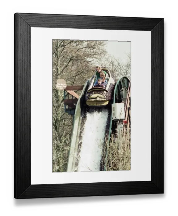 Framed Print : Princess Diana and her sons Prince Harry and Prince William at Alton Towers