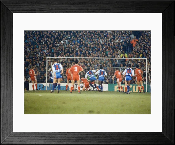 Framed Print : FA Cup 4th round replay at the Goldstone Ground, Hove. Brighton