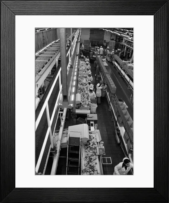 Framed Print : Scenes at the Walkers Factory, Leicester. 26th January 1978 Framed Print : Scenes at the Walkers Factory, Leicester. 26th January 1978