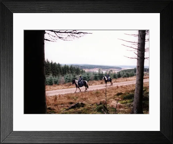 Framed Print : Kielder Reservoir, Northumberland, North East. Circa 1997 Framed Print : Kielder Reservoir, Northumberland, North East. Circa 1997