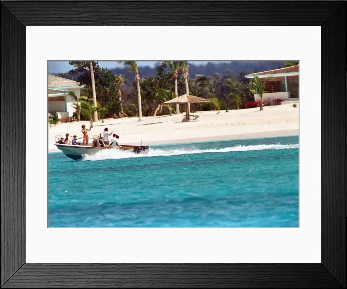 Framed Print : Princess Diana on holiday with her sons, Prince William and Prince Harry