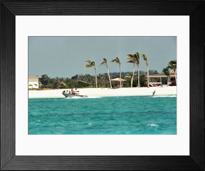 Framed Print : Princess Diana on holiday with her sons, Prince William and Prince Harry Framed Print : Princess Diana on holiday with her sons, Prince William and Prince Harry