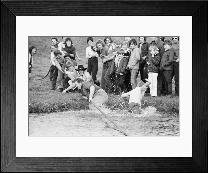 Framed Print : Tug of War Competition across the River Great Ouse aka Old West River in Stretham Framed Print : Tug of War Competition across the River Great Ouse aka Old West River in Stretham