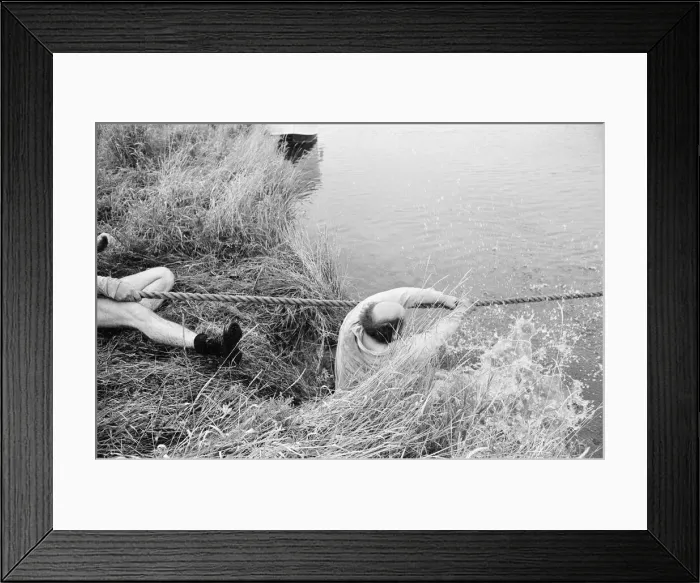 Framed Print : Tug of War Competition across the River Great Ouse aka Old West River in Stretham Framed Print : Tug of War Competition across the River Great Ouse aka Old West River in Stretham