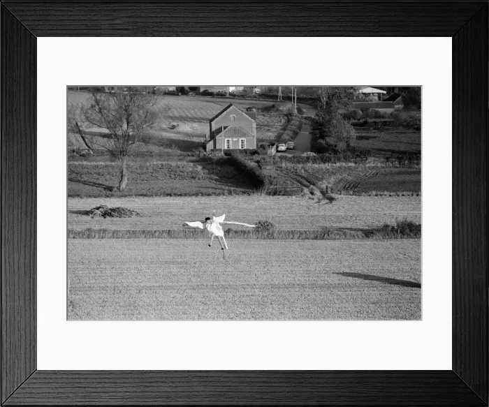 Framed Print : Actor Michael Crawford pictured during filming of a Christmas special of the BBC Framed Print : Actor Michael Crawford pictured during filming of a Christmas special of the BBC