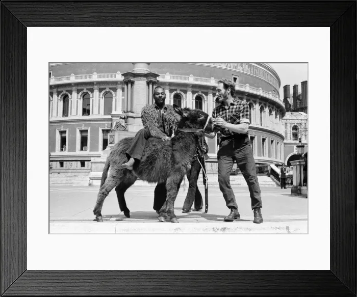 Framed Print : American pop group called Funkadelic have been banned from performing Framed Print : American pop group called Funkadelic have been banned from performing